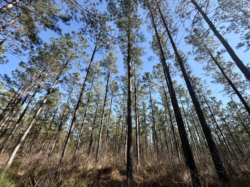 Picture 17