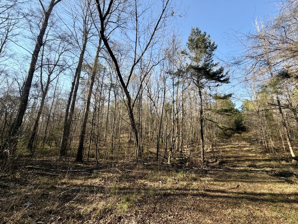 Picture 25