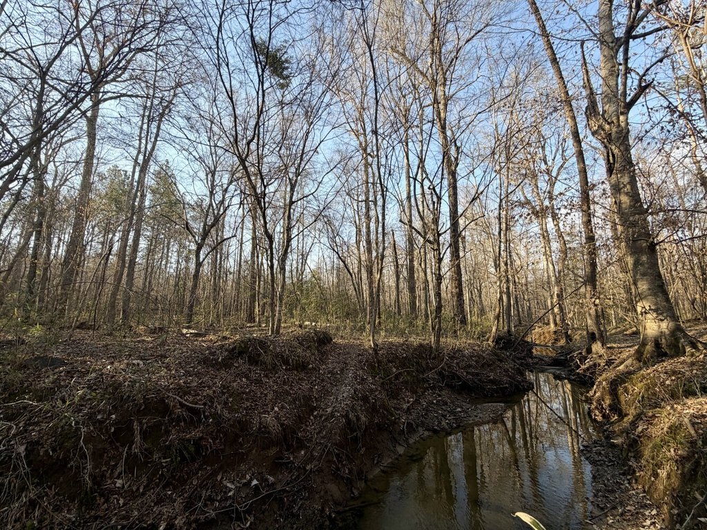Picture 37