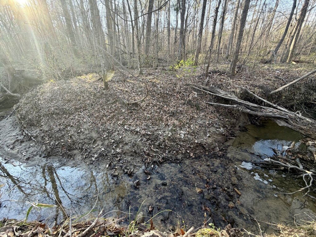 Picture 38