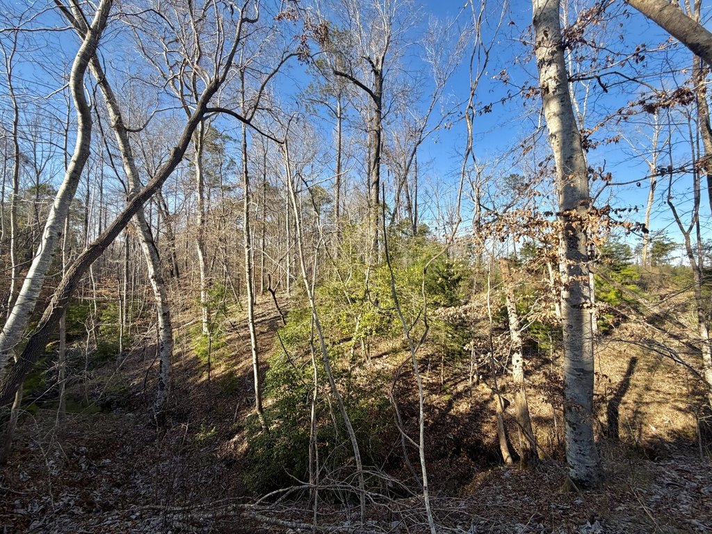 Picture 24