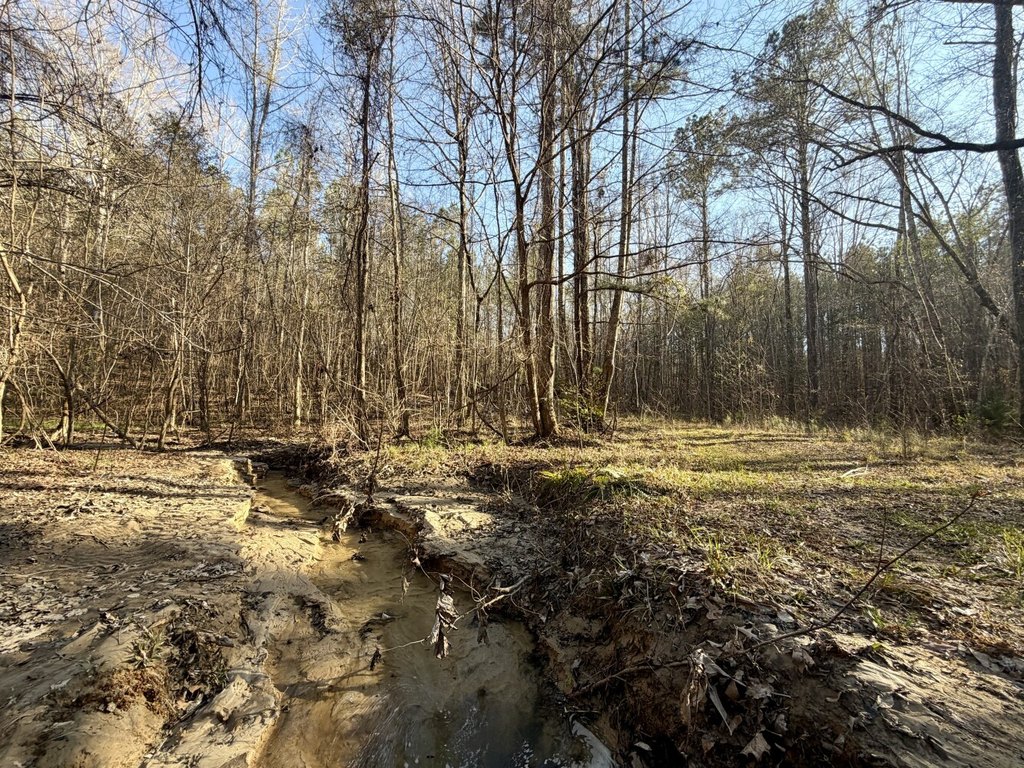 Picture 26