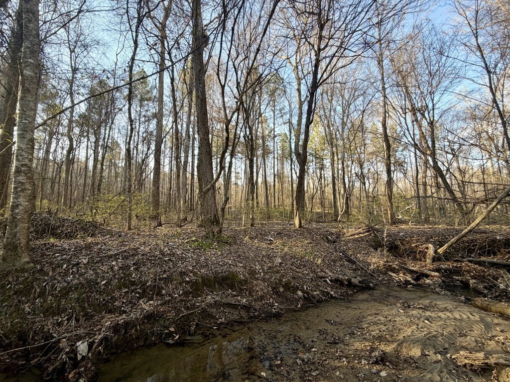 Picture 39