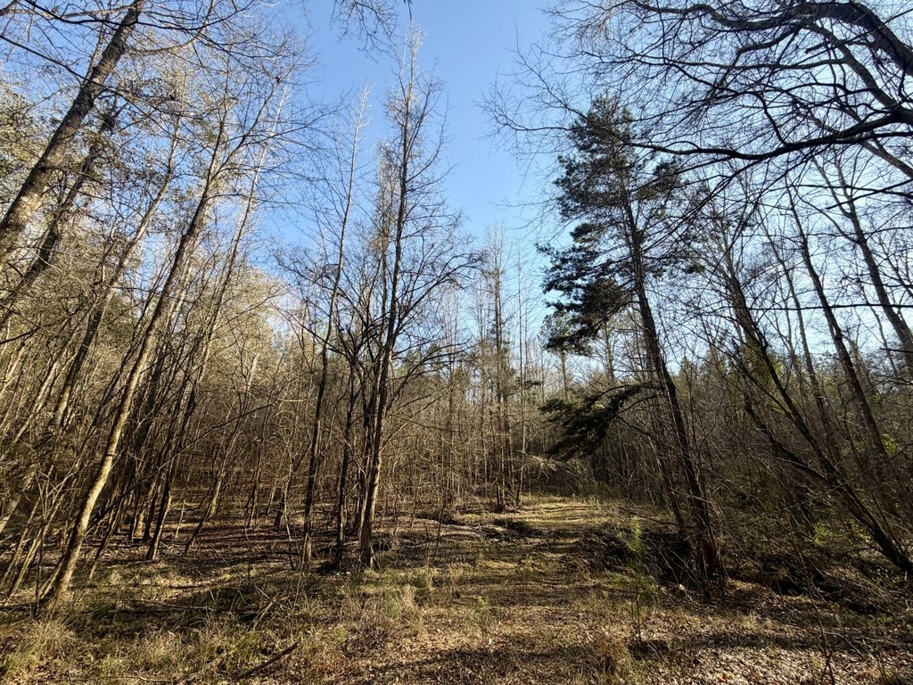 Picture 31
