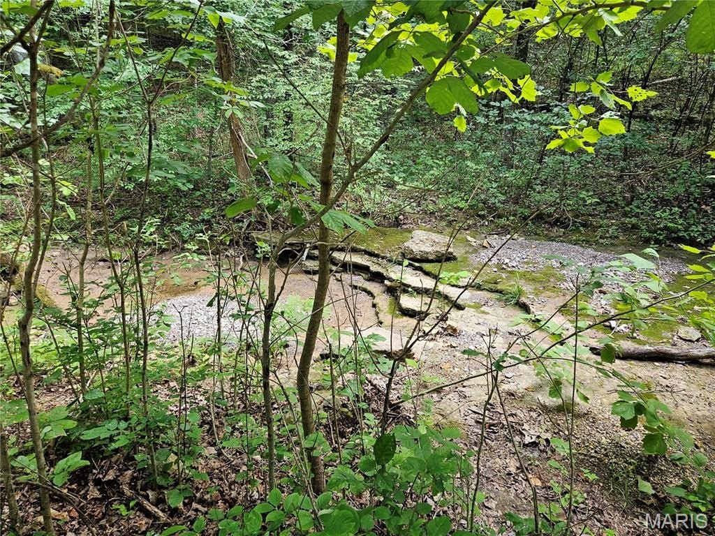 Picture 15