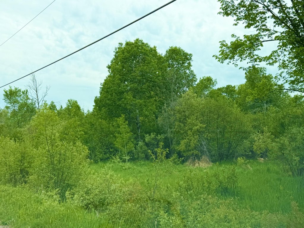 Picture 7