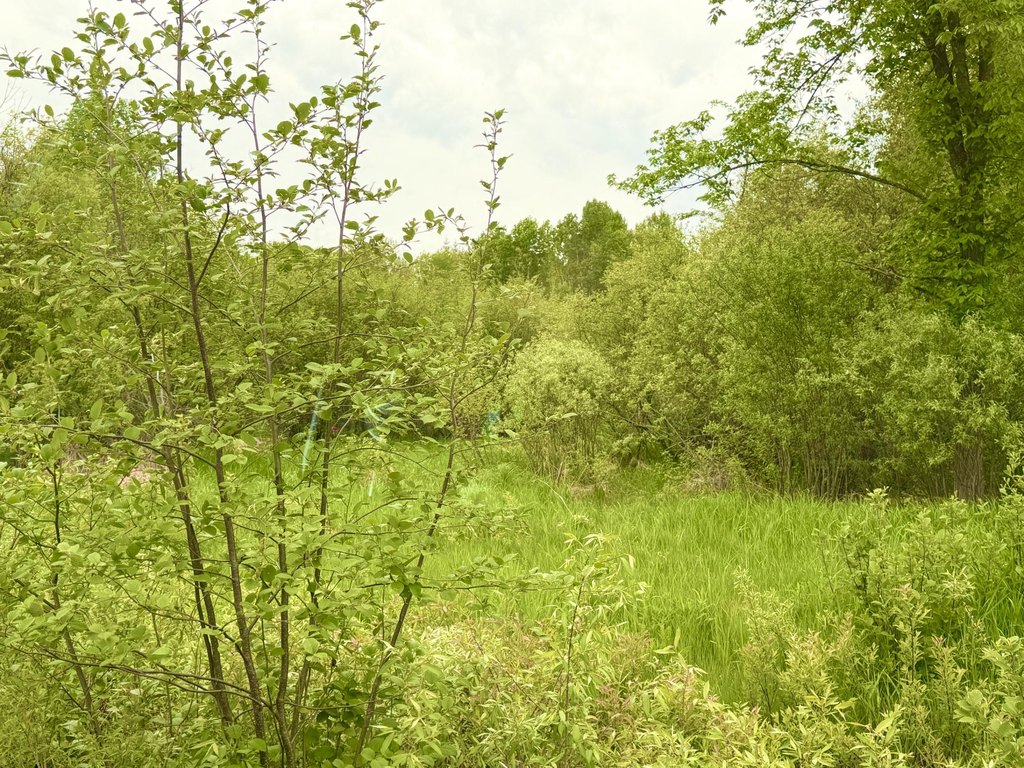 Picture 8