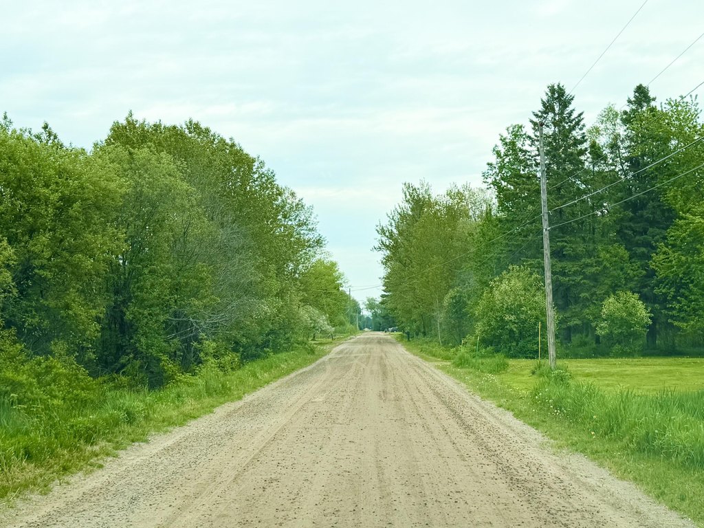 Picture 6