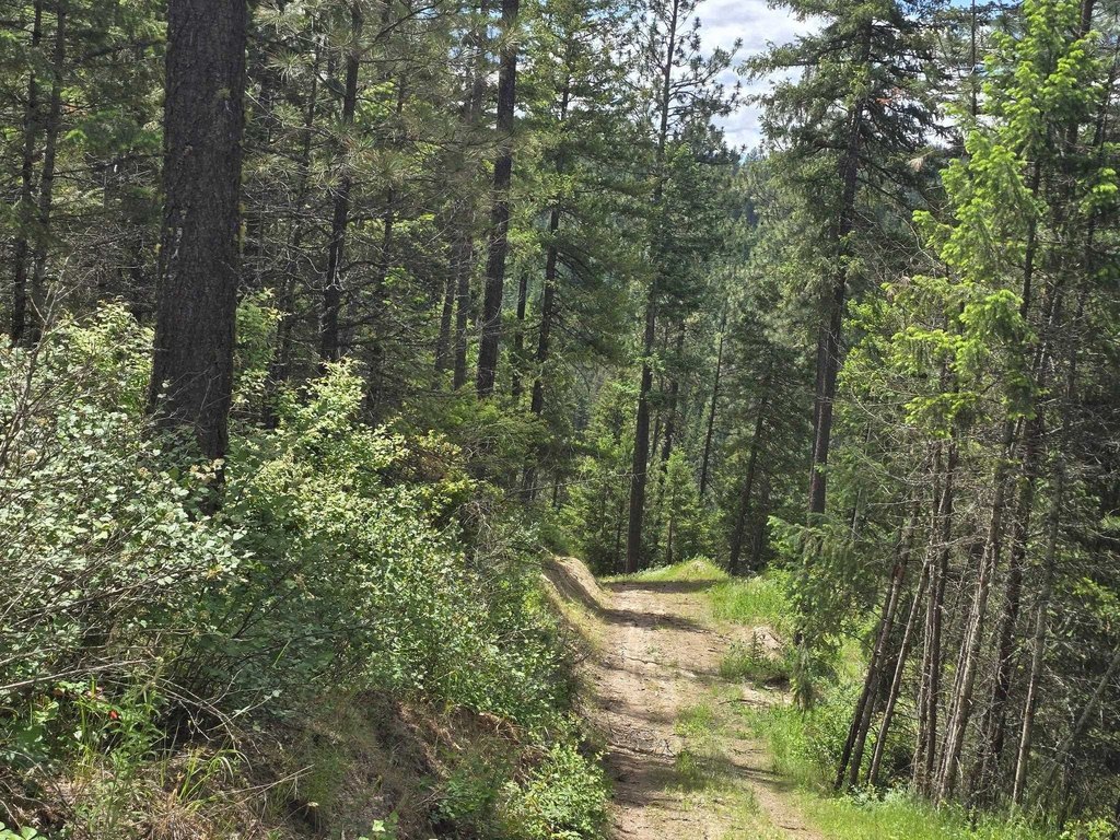 Picture 6
