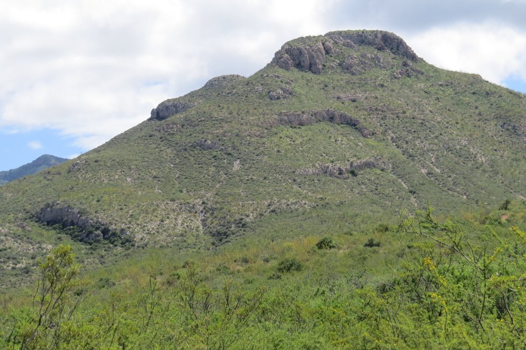 Picture 15