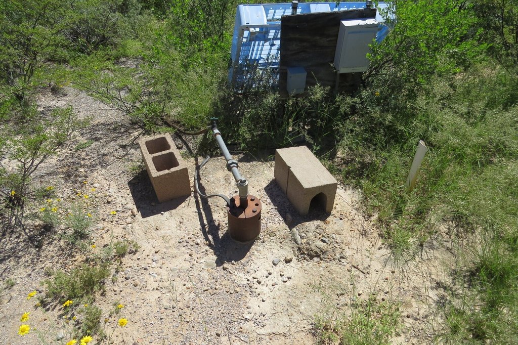 Picture 5