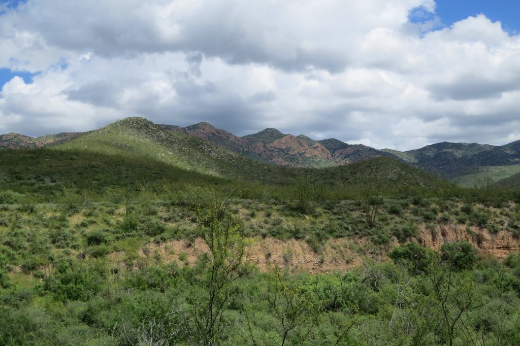 Picture 28