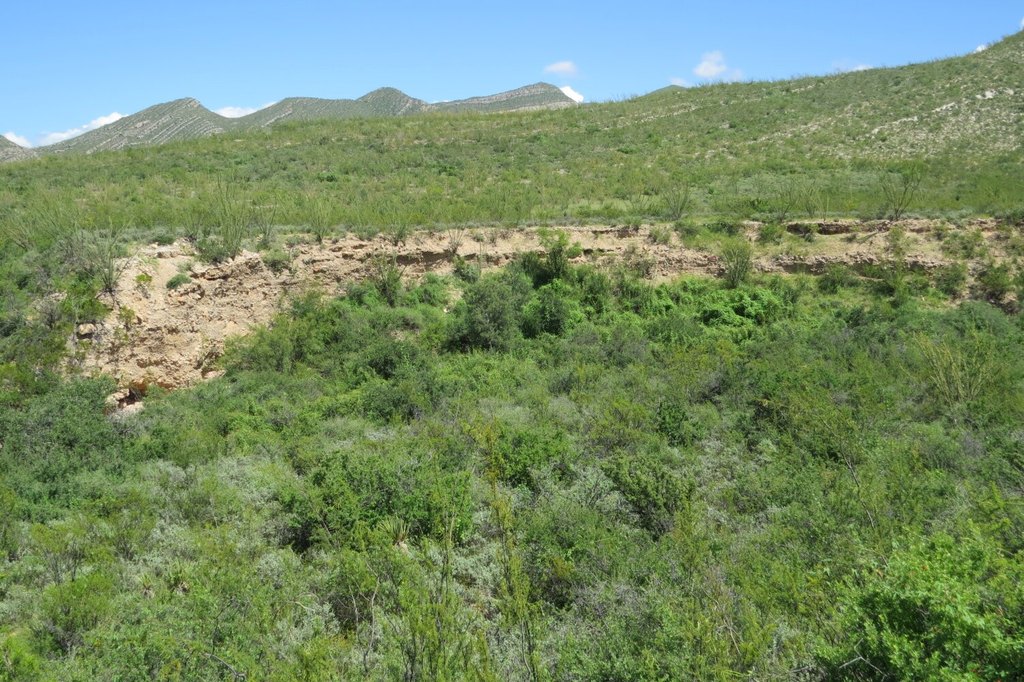 Picture 11