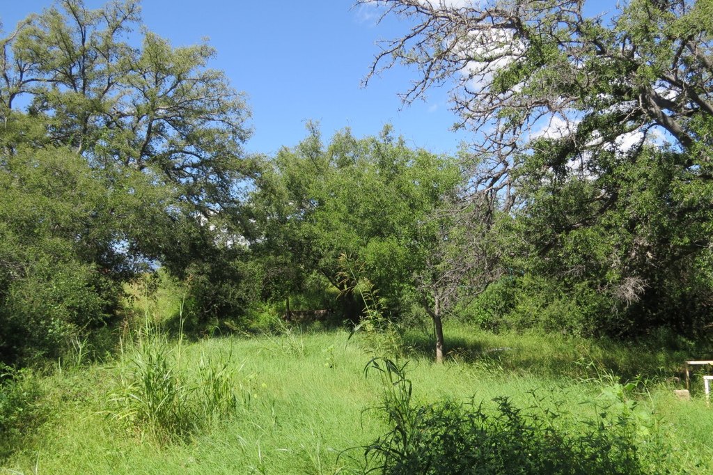 Picture 9