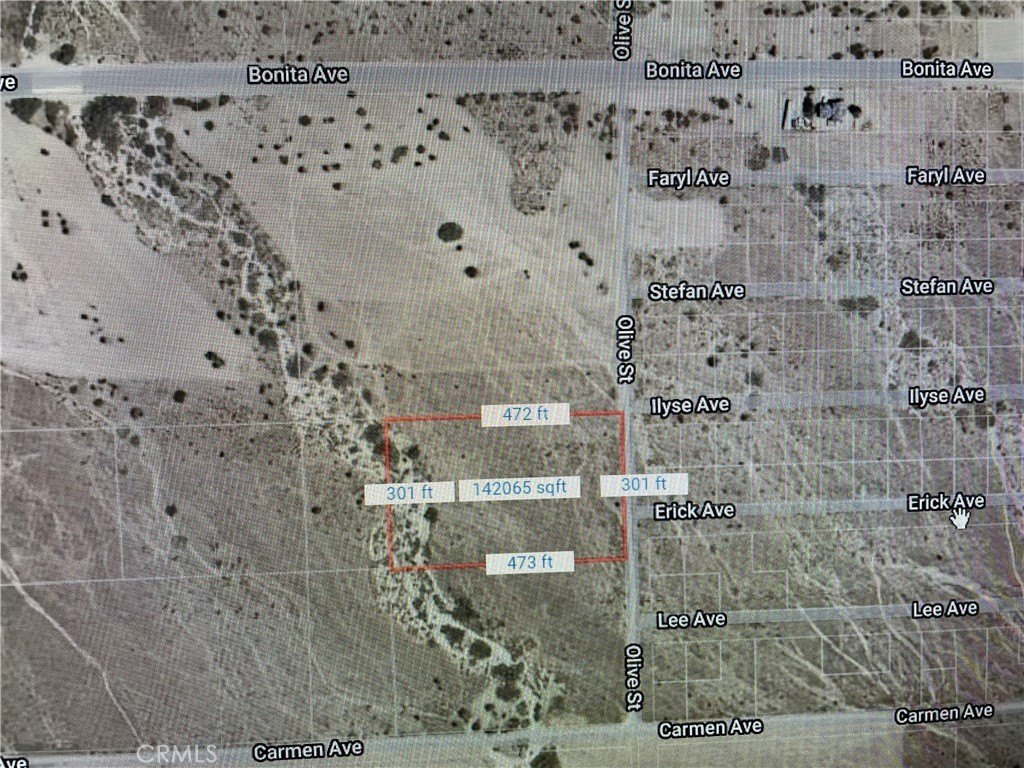 Picture 12