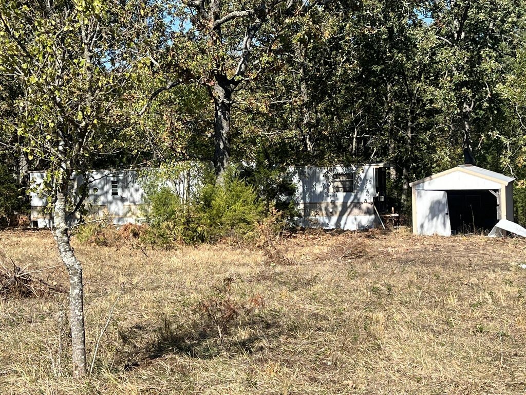 Picture 6