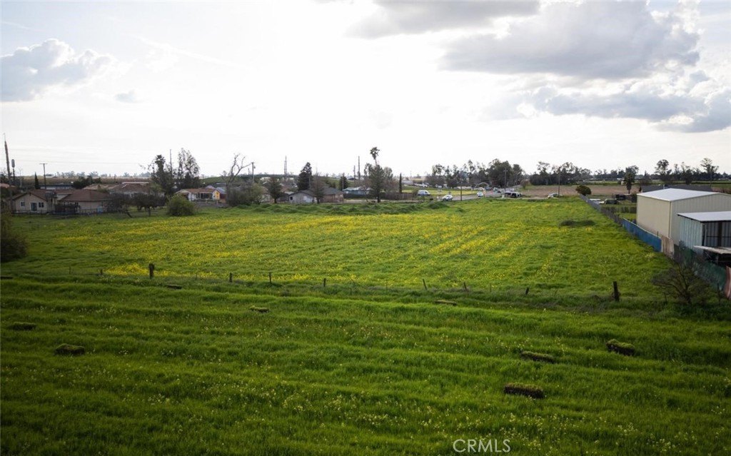 Picture 8