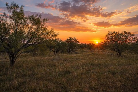 Tree-Lined Hunting and Homesite Acreage