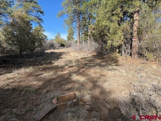 Land in Pagosa Springs, CO
