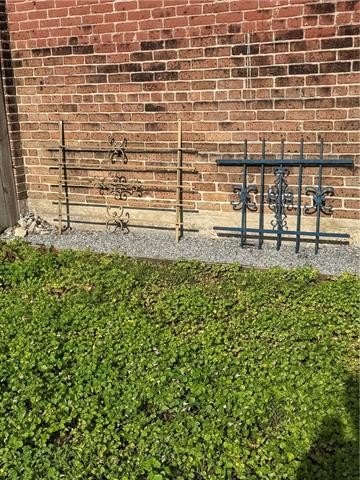 Picture 19
