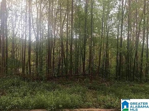 Residential Land in Prime Location