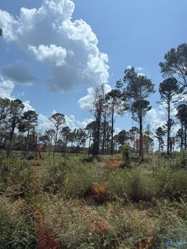 Land, Centre, AL