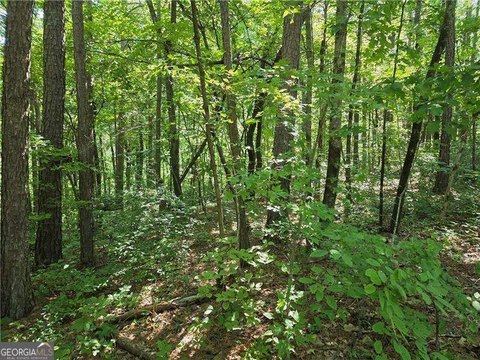 Wooded Lots with Creek Frontage