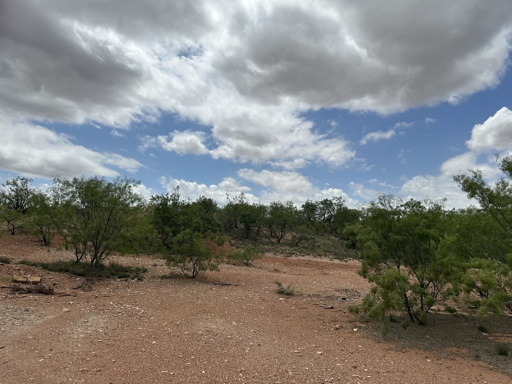 Picture 34