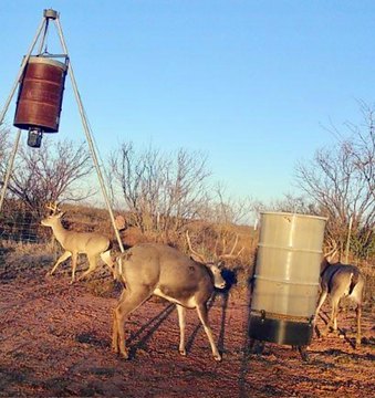 Hunting and Grazing Land Retreat