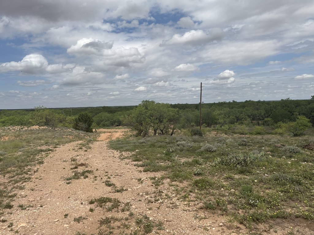 Picture 26