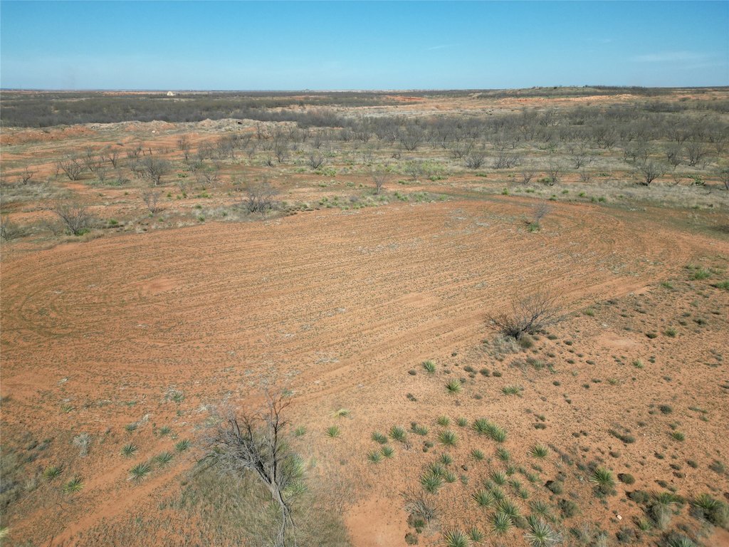 Picture 30