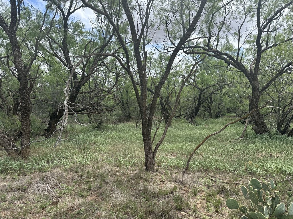 Picture 28