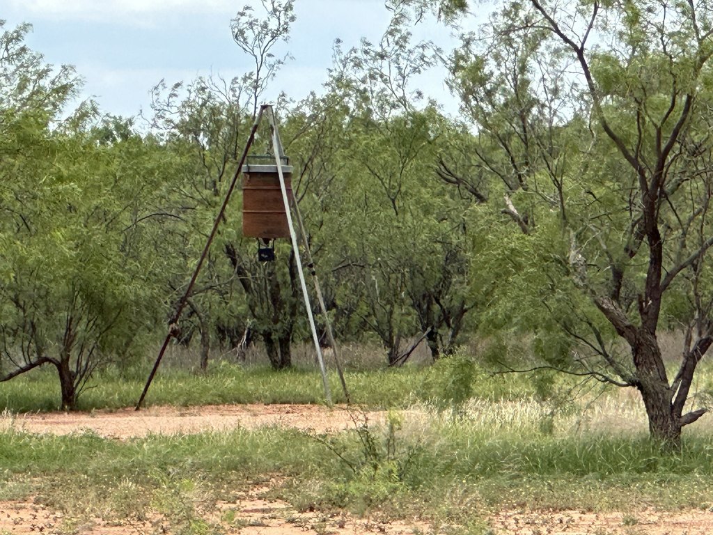 Picture 31