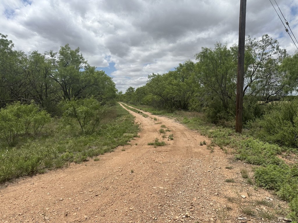 Picture 27