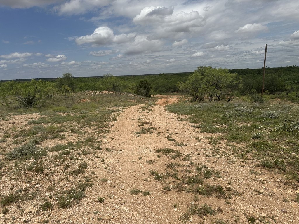 Picture 33
