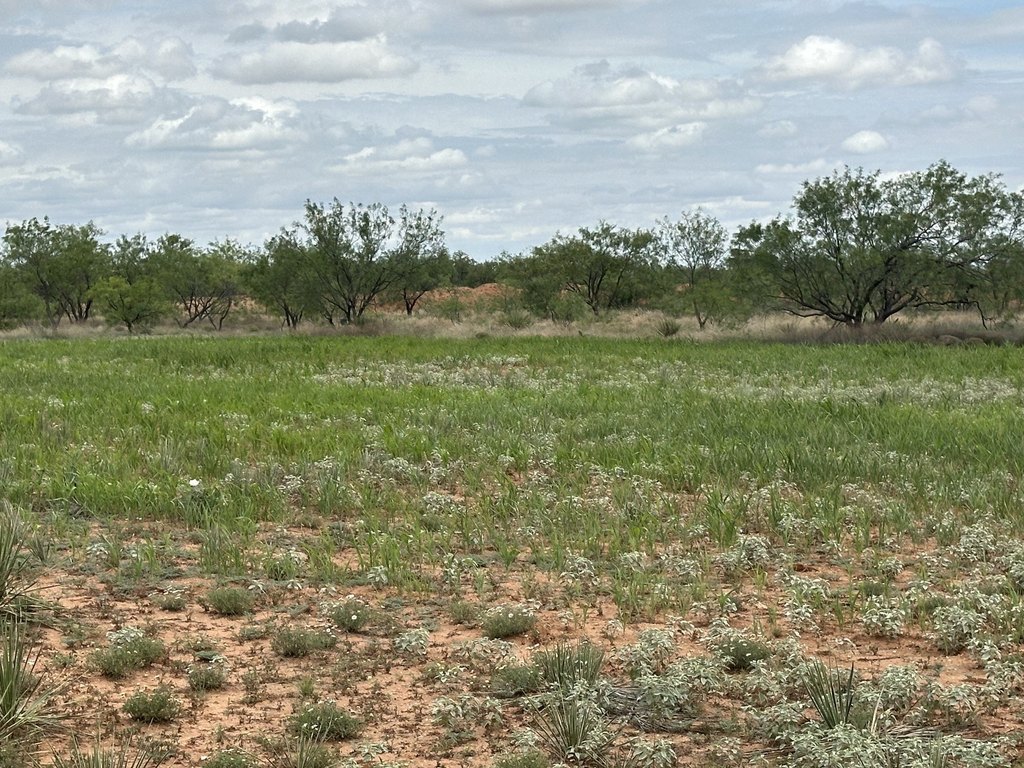 Picture 29