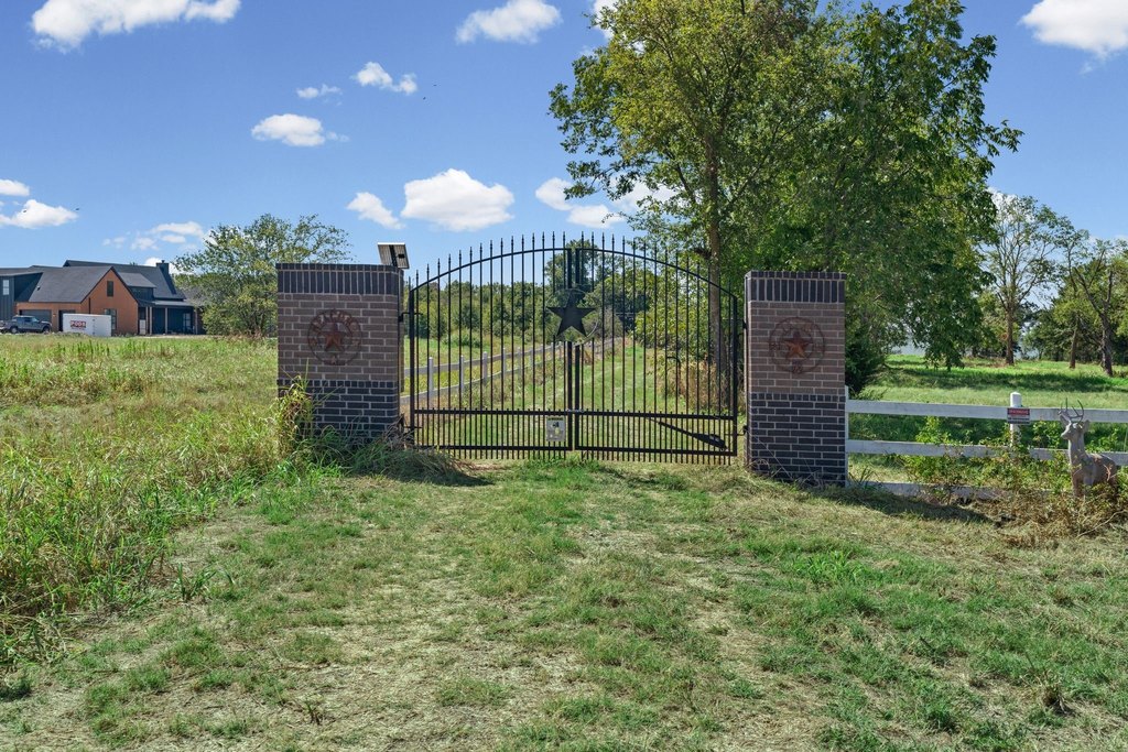 Picture 19