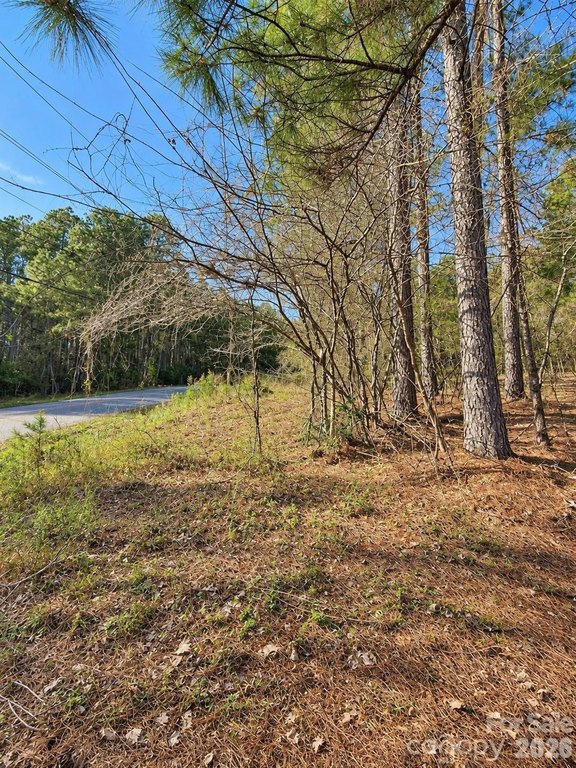 Picture 3