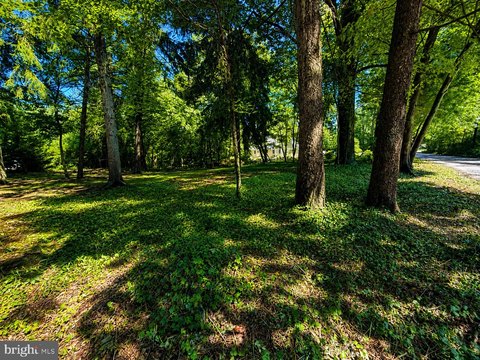 LAND - SEVERNA PARK, MD