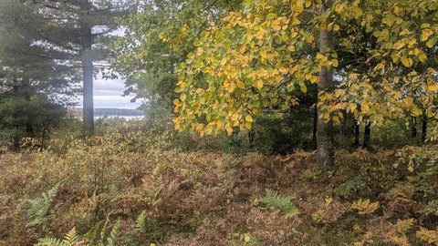 Land, Onekama, MI
