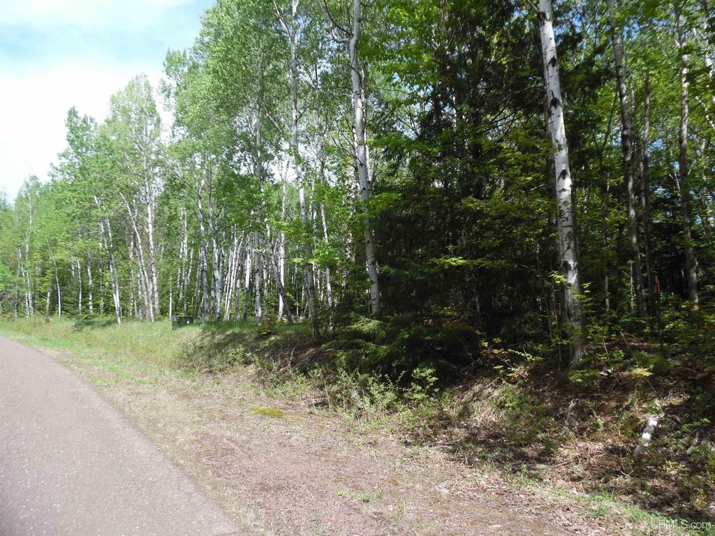 Picture 3