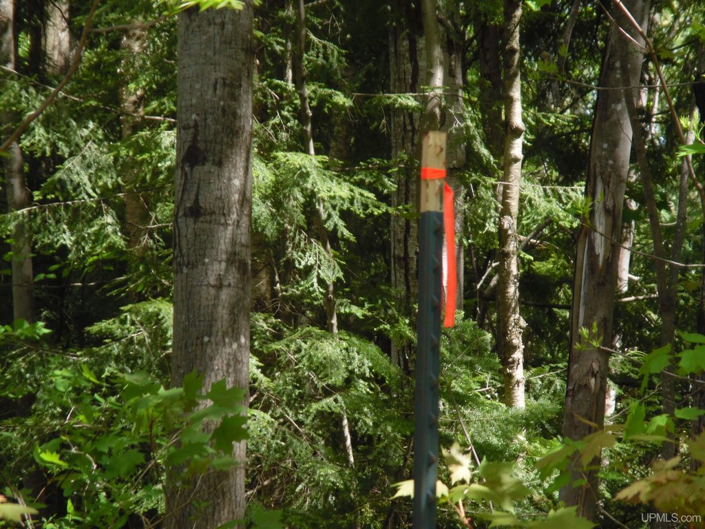 Picture 13