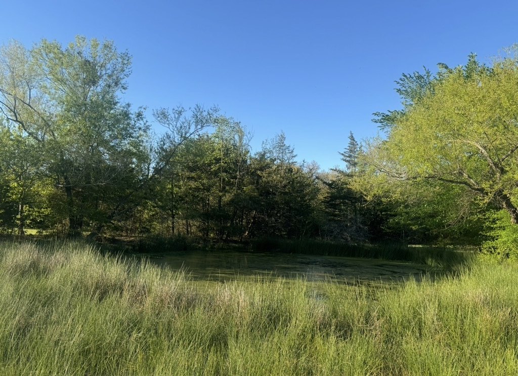 Picture 17