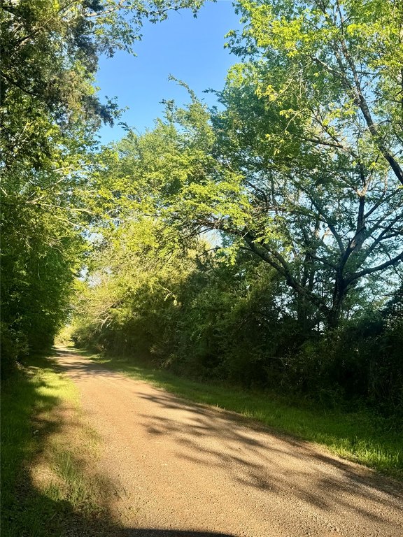 Picture 16