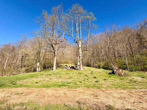Wooded Residential Land Tract