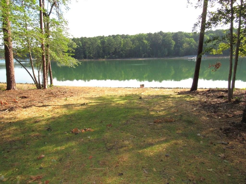 Picture 3