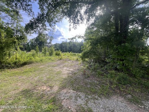 Land, Forest, MS