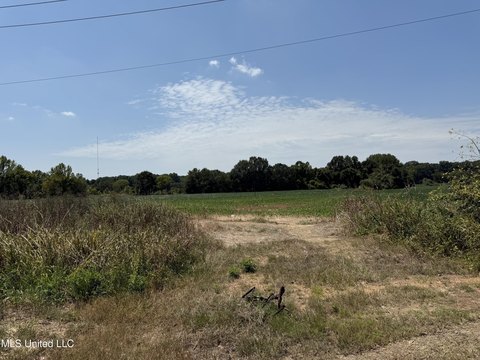 Acre of Land in Hernando