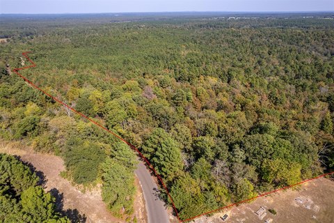 Wooded Recreation Land with Road Frontage