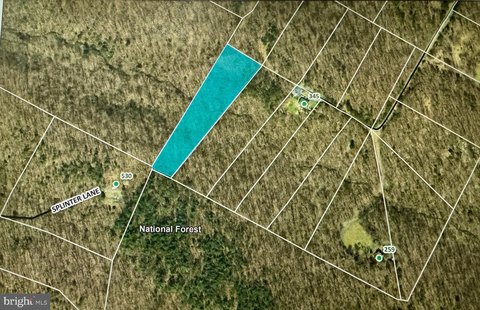 Land with Stream and Forest